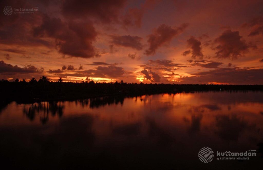 Kuttanad Sunset